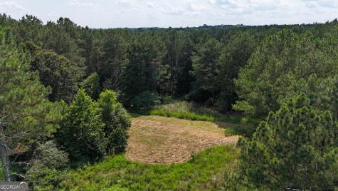 3729 Duncan Bridge Road Cornelia GA 30531