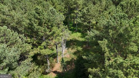 3729 Duncan Bridge Road Cornelia GA 30531