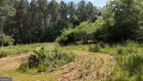 3729 Duncan Bridge Road Cornelia GA 30531