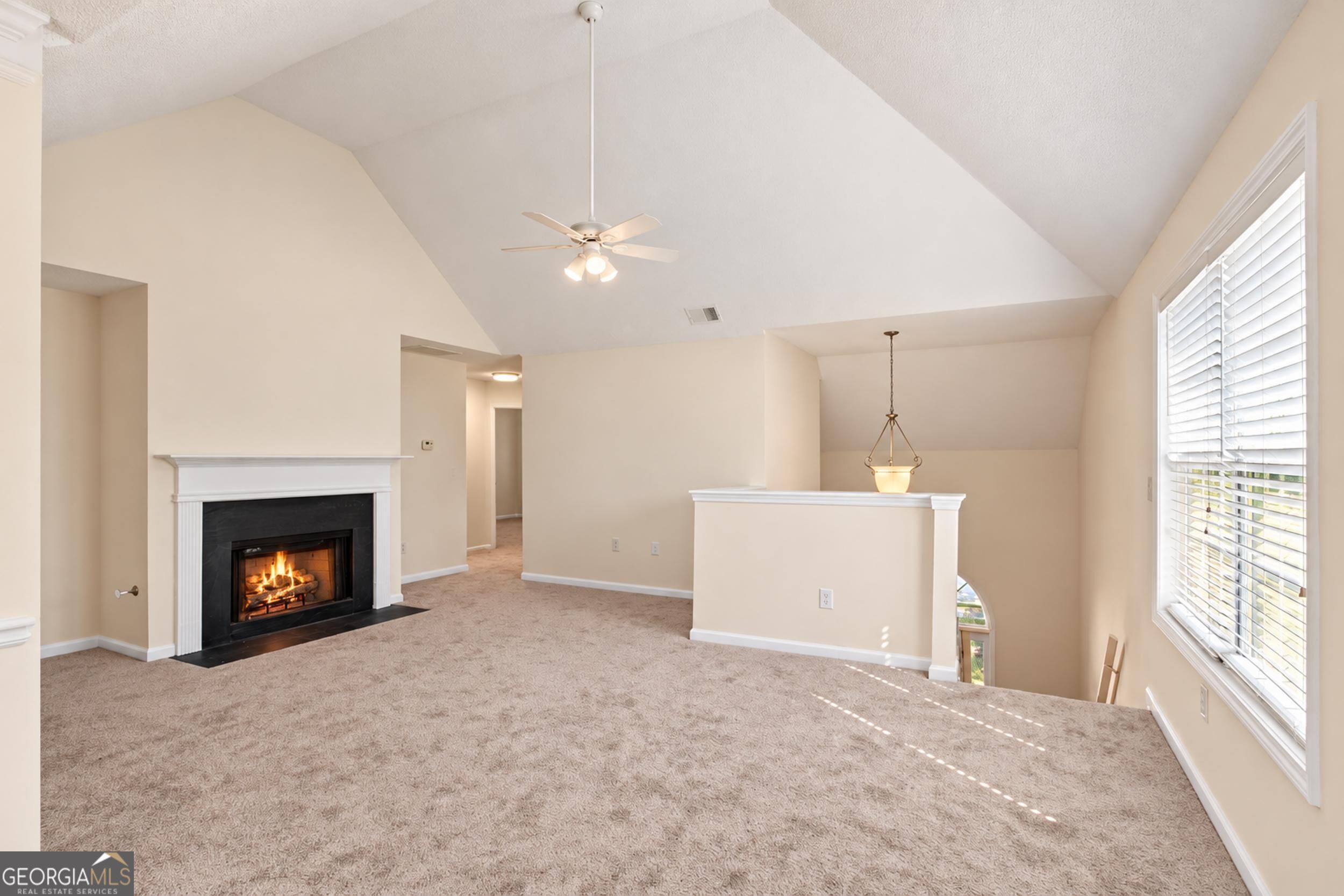 11657 Flemming Court Hampton GA 30228