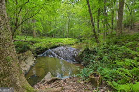 418 Wild Turkey Trail Dahlonega GA 30533