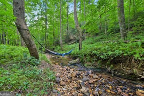 418 Wild Turkey Trail Dahlonega GA 30533