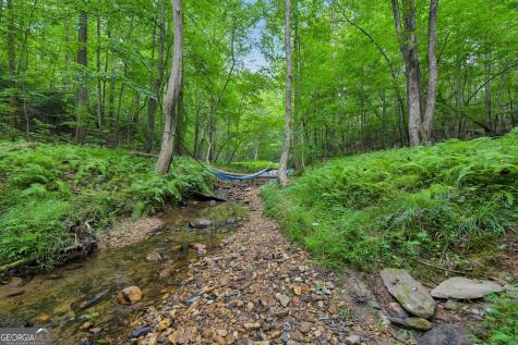 418 Wild Turkey Trail Dahlonega GA 30533