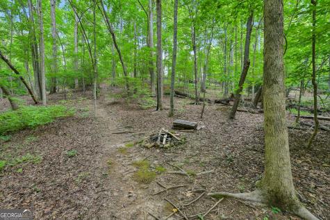 418 Wild Turkey Trail Dahlonega GA 30533
