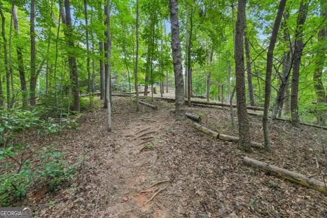 418 Wild Turkey Trail Dahlonega GA 30533