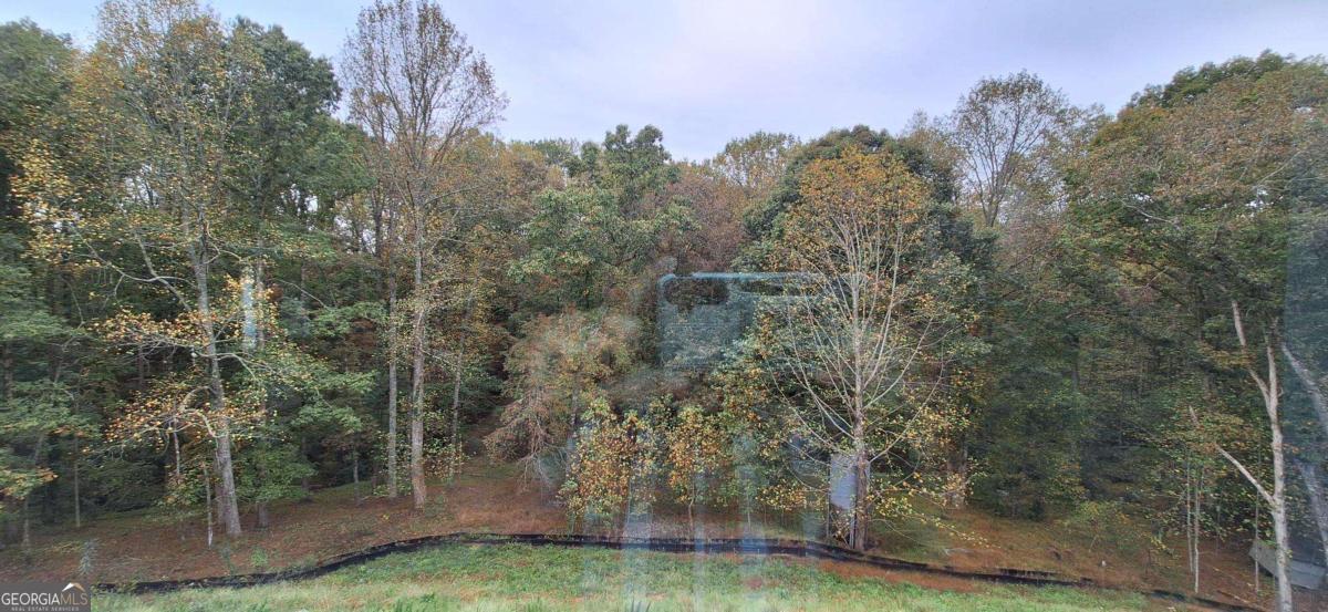 9 Trace Bluff Dawsonville GA 30534