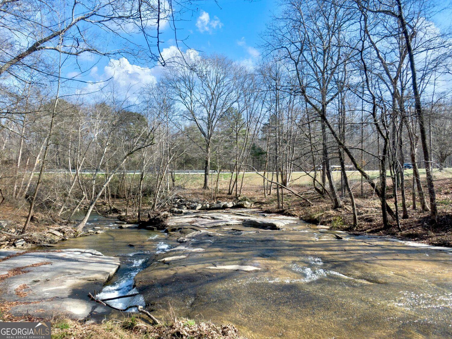 7217 Sherwood Mill Drive Flowery Branch GA 30542