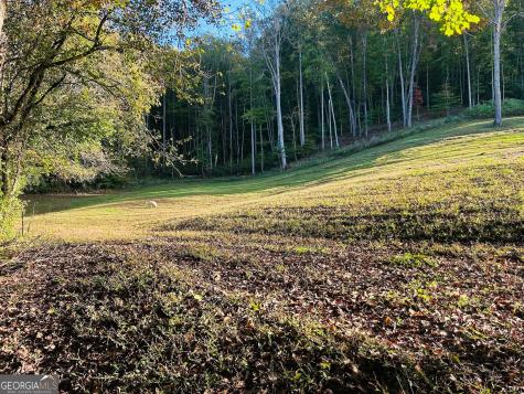 1306 Hot House Road Hayesville NC 28904