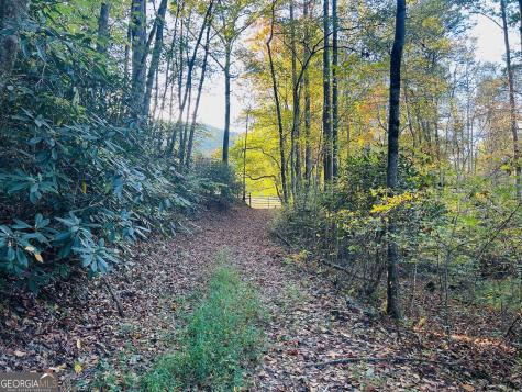 1306 Hot House Road Hayesville NC 28904