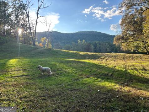 1306 Hot House Road Hayesville NC 28904