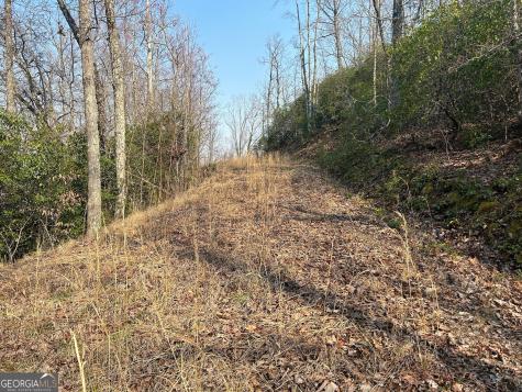 1306 Hot House Road Hayesville NC 28904