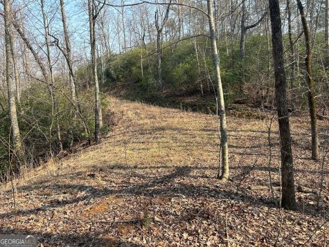 1306 Hot House Road Hayesville NC 28904