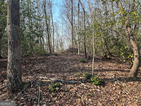 1306 Hot House Road Hayesville NC 28904