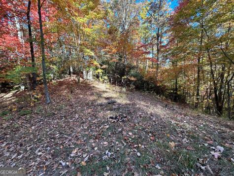 1306 Hot House Road Hayesville NC 28904