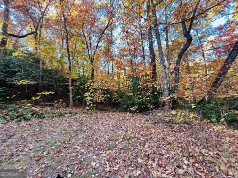 1306 Hot House Road Hayesville NC 28904