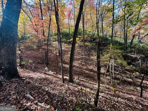 1306 Hot House Road Hayesville NC 28904