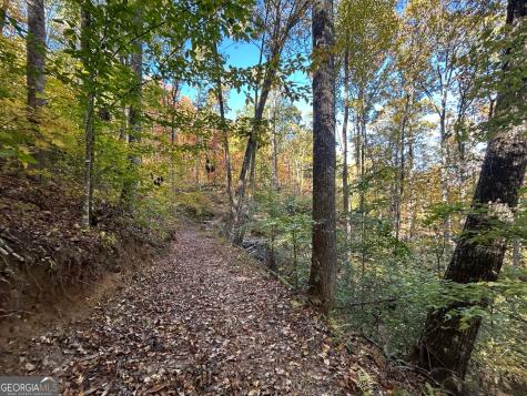 1306 Hot House Road Hayesville NC 28904