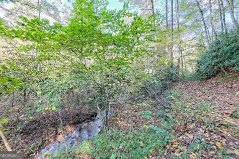1306 Hot House Road Hayesville NC 28904