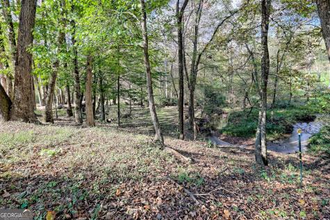 1306 Hot House Road Hayesville NC 28904