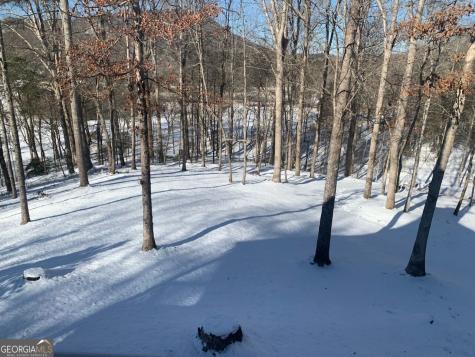 350 Foggy Creek Lane Clarkesville GA 30523