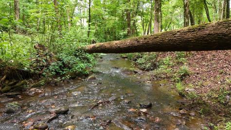 350 Foggy Creek Lane Clarkesville GA 30523