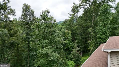 350 Foggy Creek Lane Clarkesville GA 30523