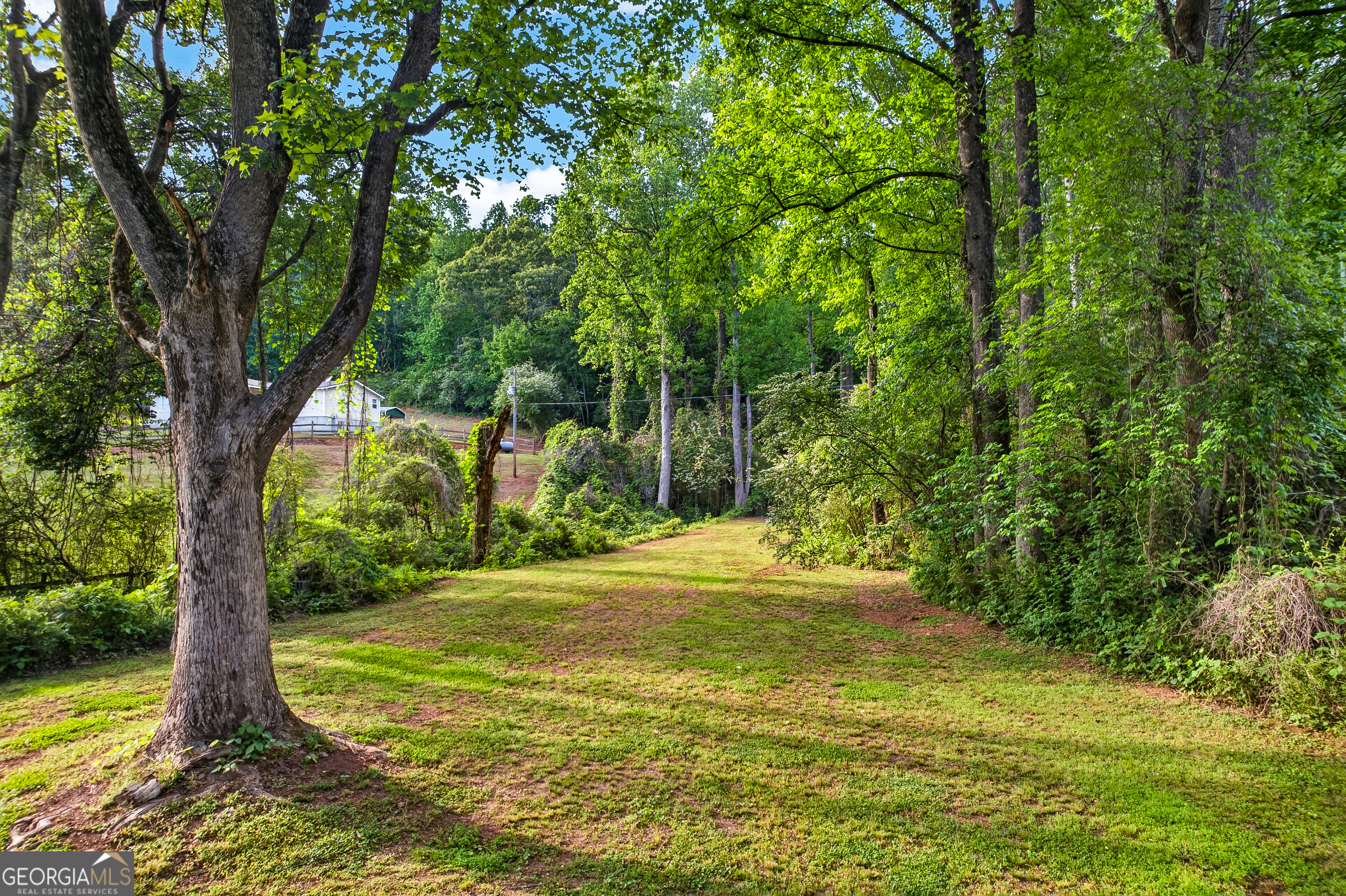 165 Porter Springs Road Dahlonega GA 30533