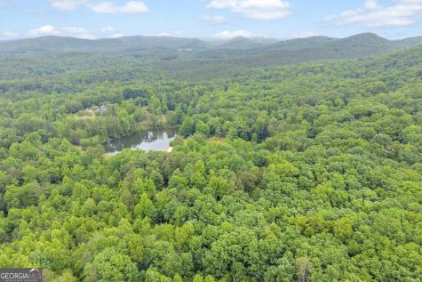 314 Skyview Circle Clarkesville GA 30523