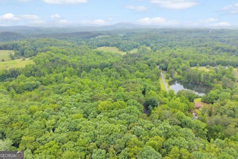 314 Skyview Circle Clarkesville GA 30523