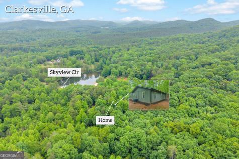 314 Skyview Circle Clarkesville GA 30523