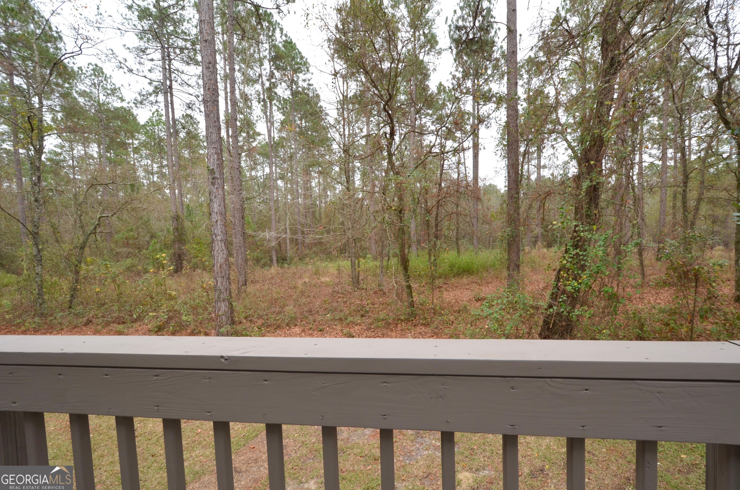 438 Highland Lakes Drive Eastman GA 31023