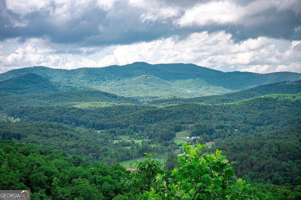 193 Pontoosuc Drive Mineral Bluff GA 30559