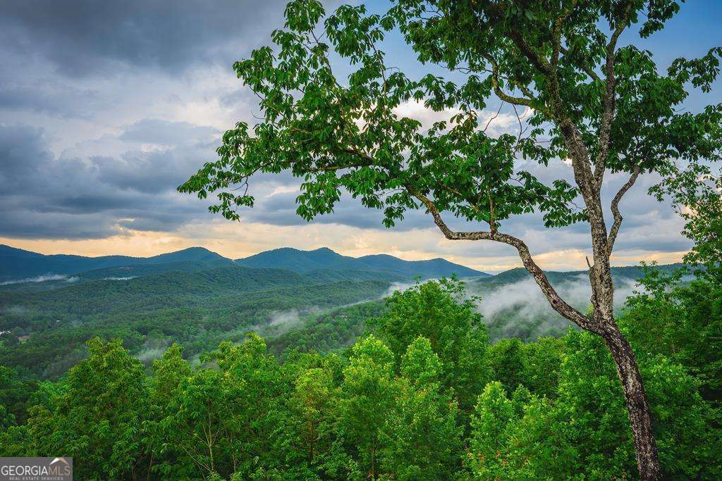193 Pontoosuc Drive Mineral Bluff GA 30559