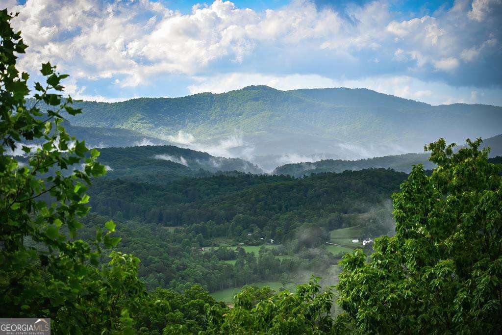 193 Pontoosuc Drive Mineral Bluff GA 30559