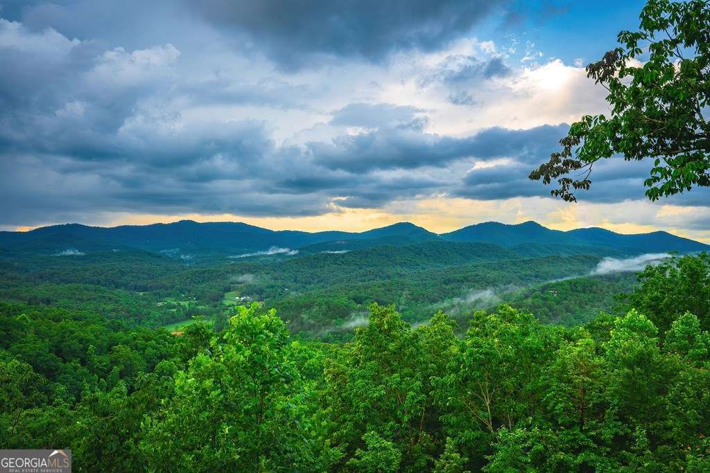 193 Pontoosuc Drive Mineral Bluff GA 30559