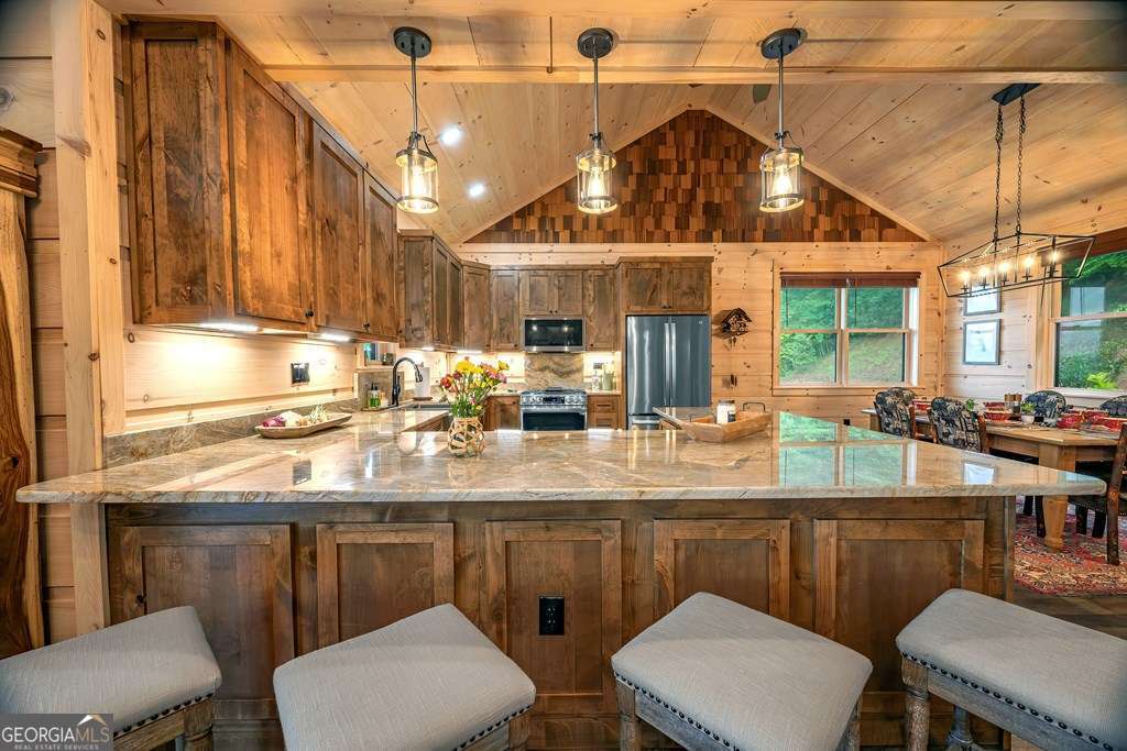 193 Pontoosuc Drive Mineral Bluff GA 30559