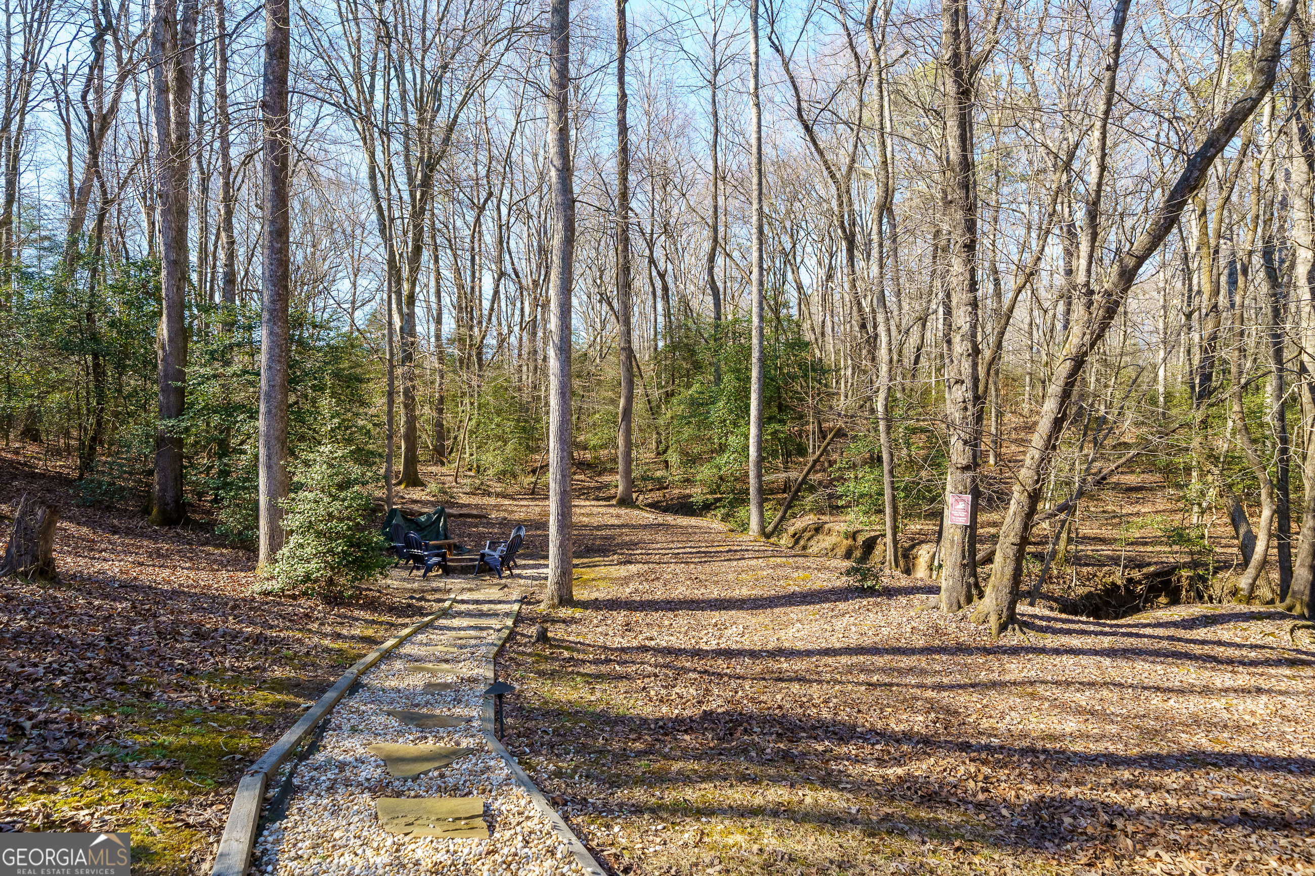 161 Finncannon Drive Ellijay GA 30536