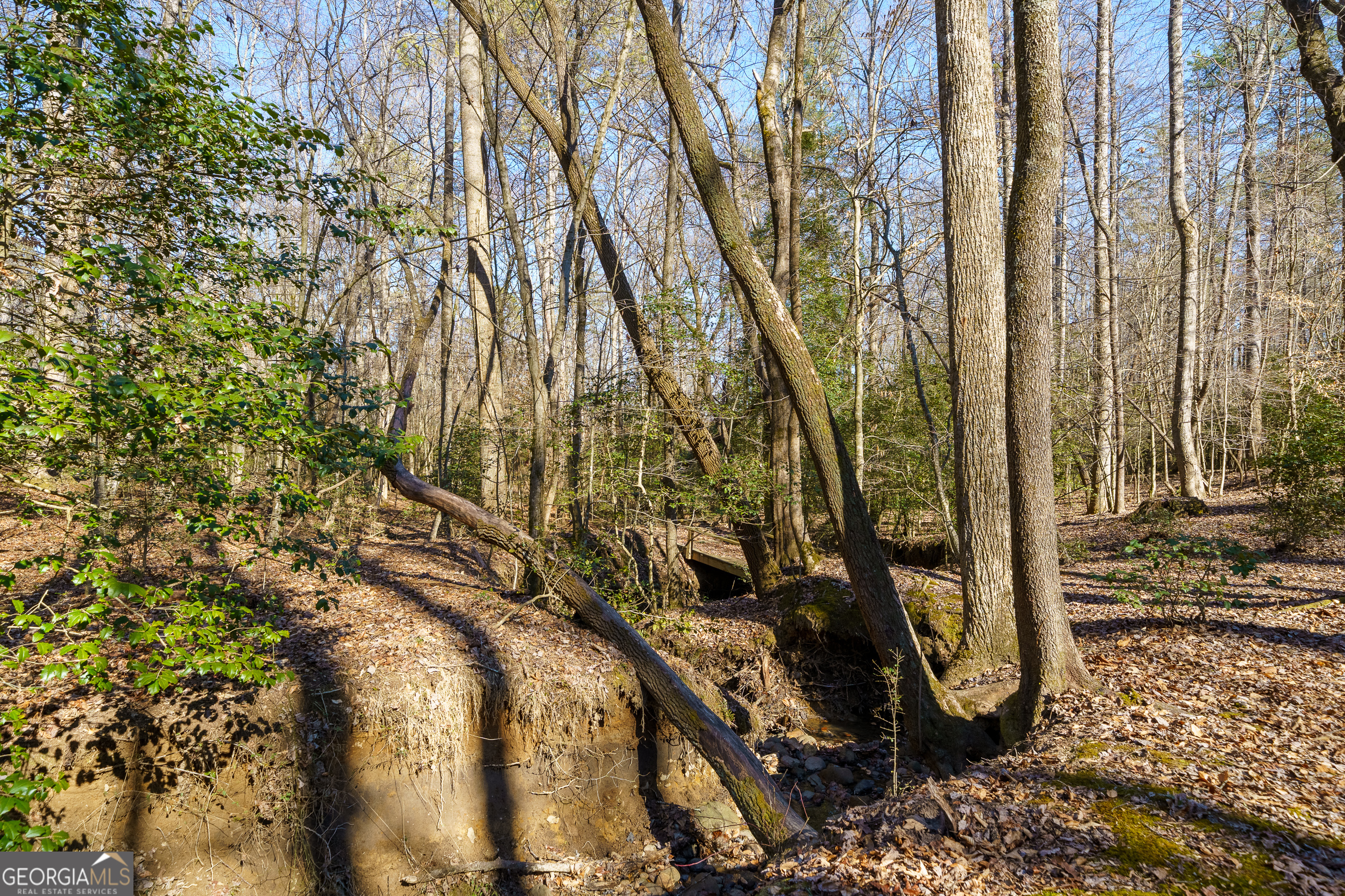161 Finncannon Drive Ellijay GA 30536