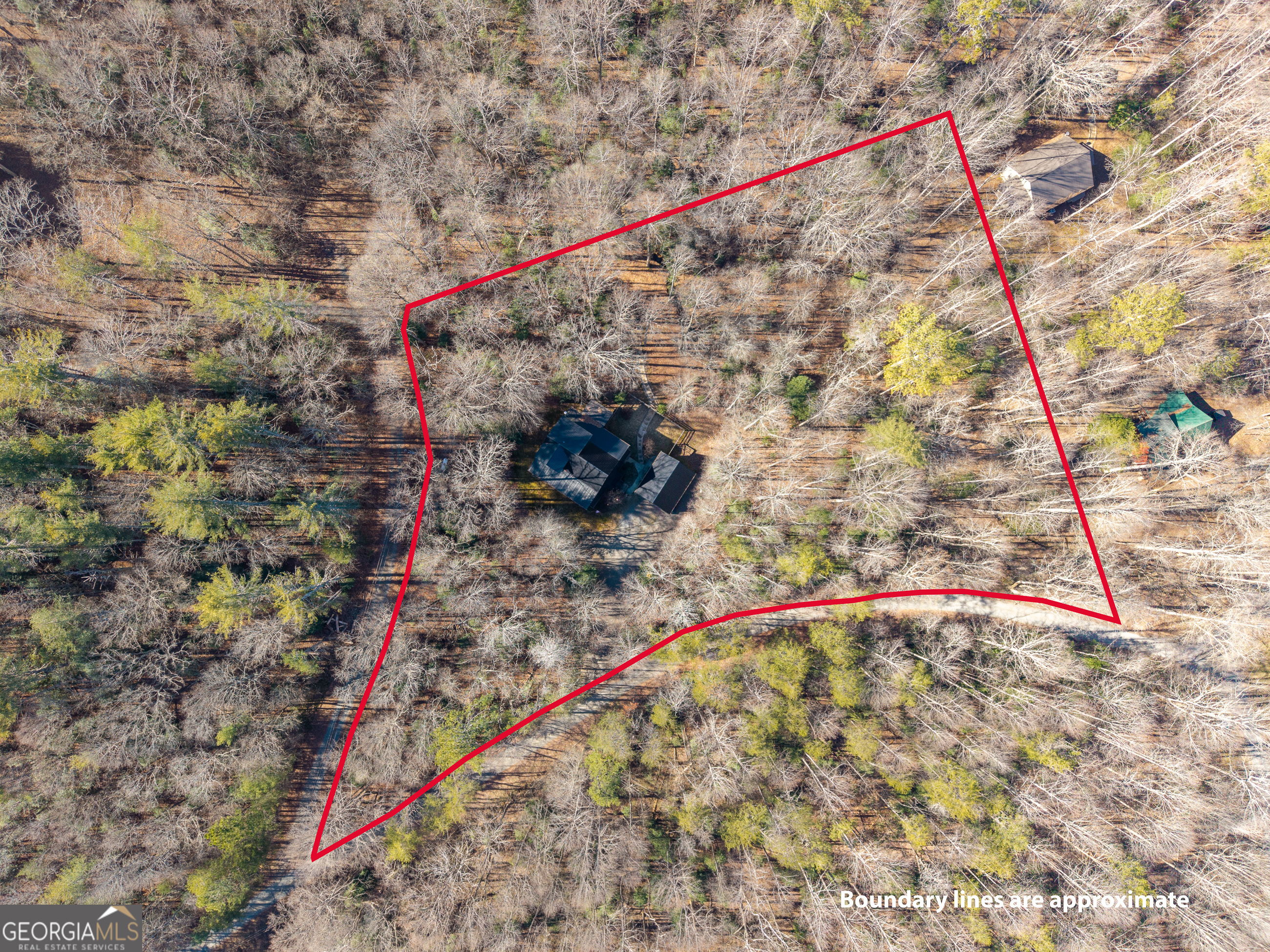 161 Finncannon Drive Ellijay GA 30536