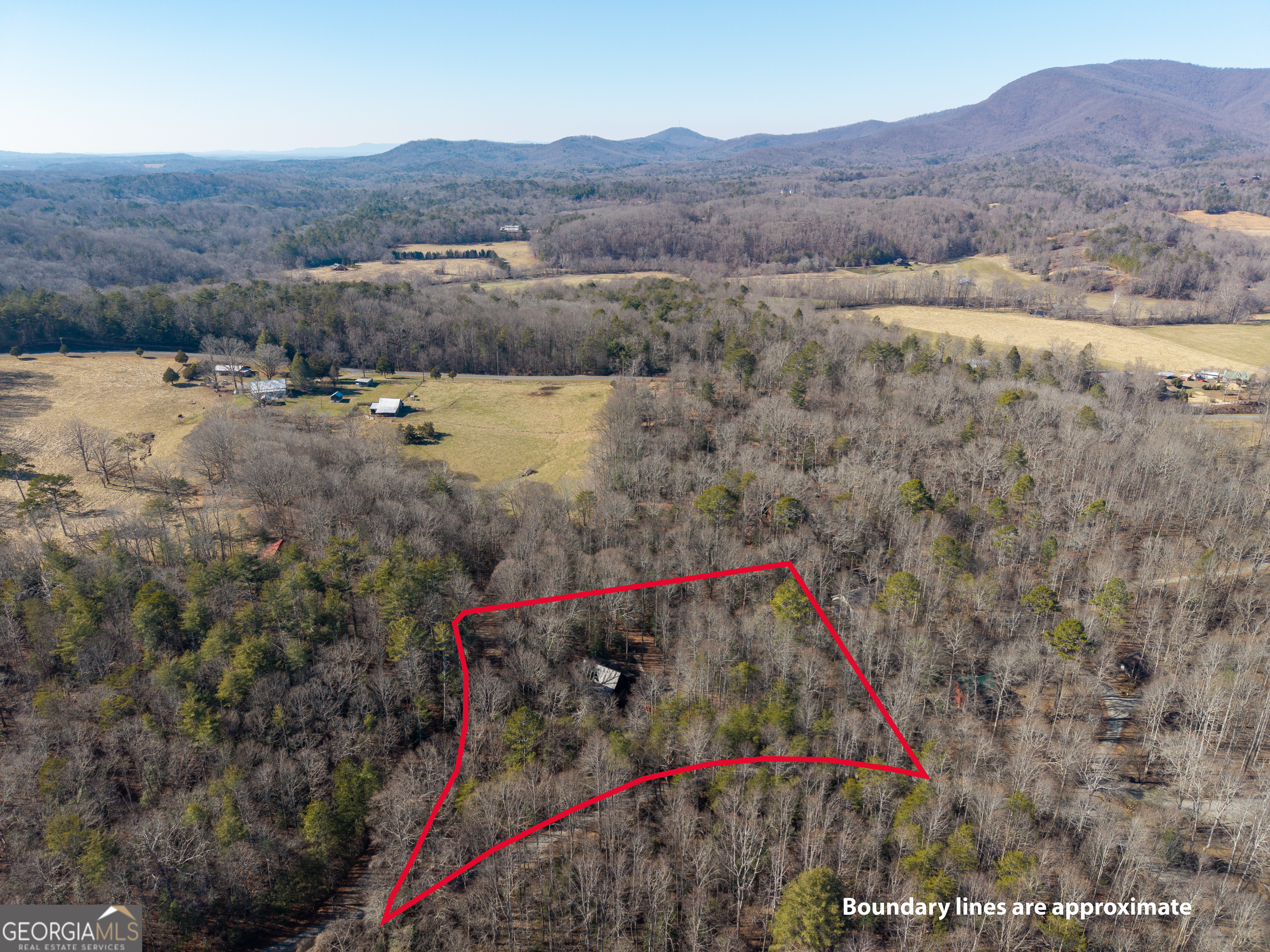 161 Finncannon Drive Ellijay GA 30536