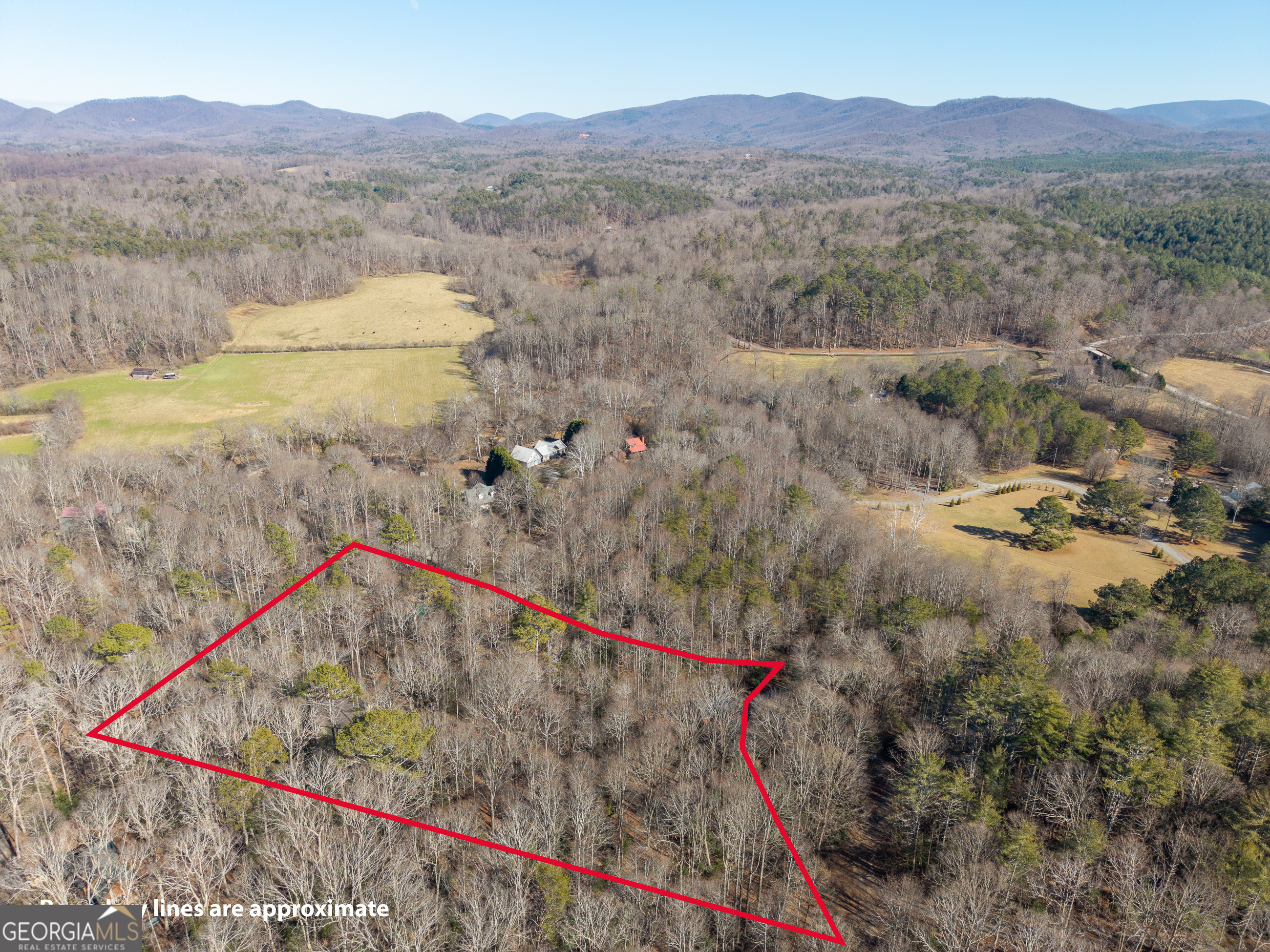 161 Finncannon Drive Ellijay GA 30536