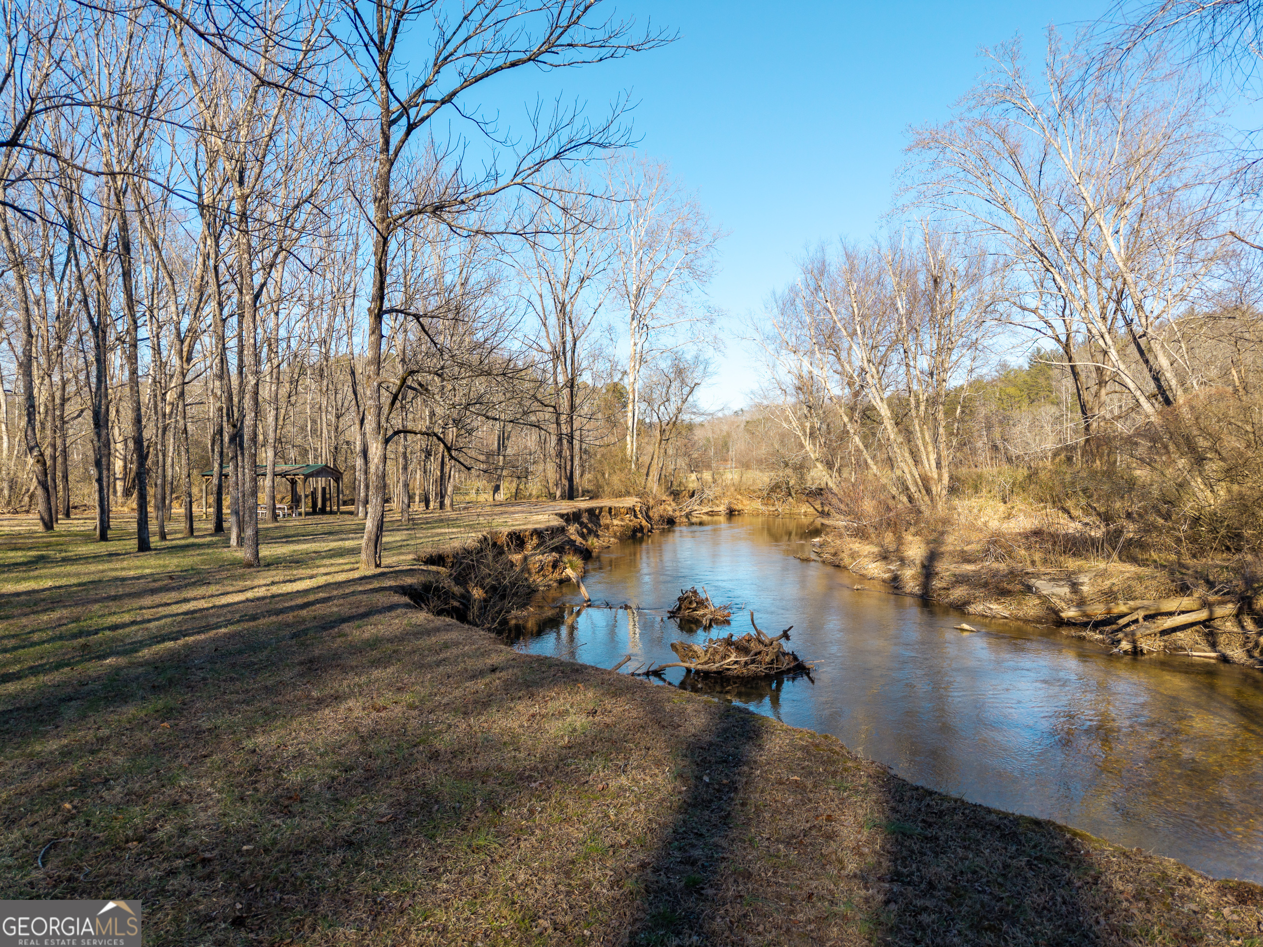 161 Finncannon Drive Ellijay GA 30536