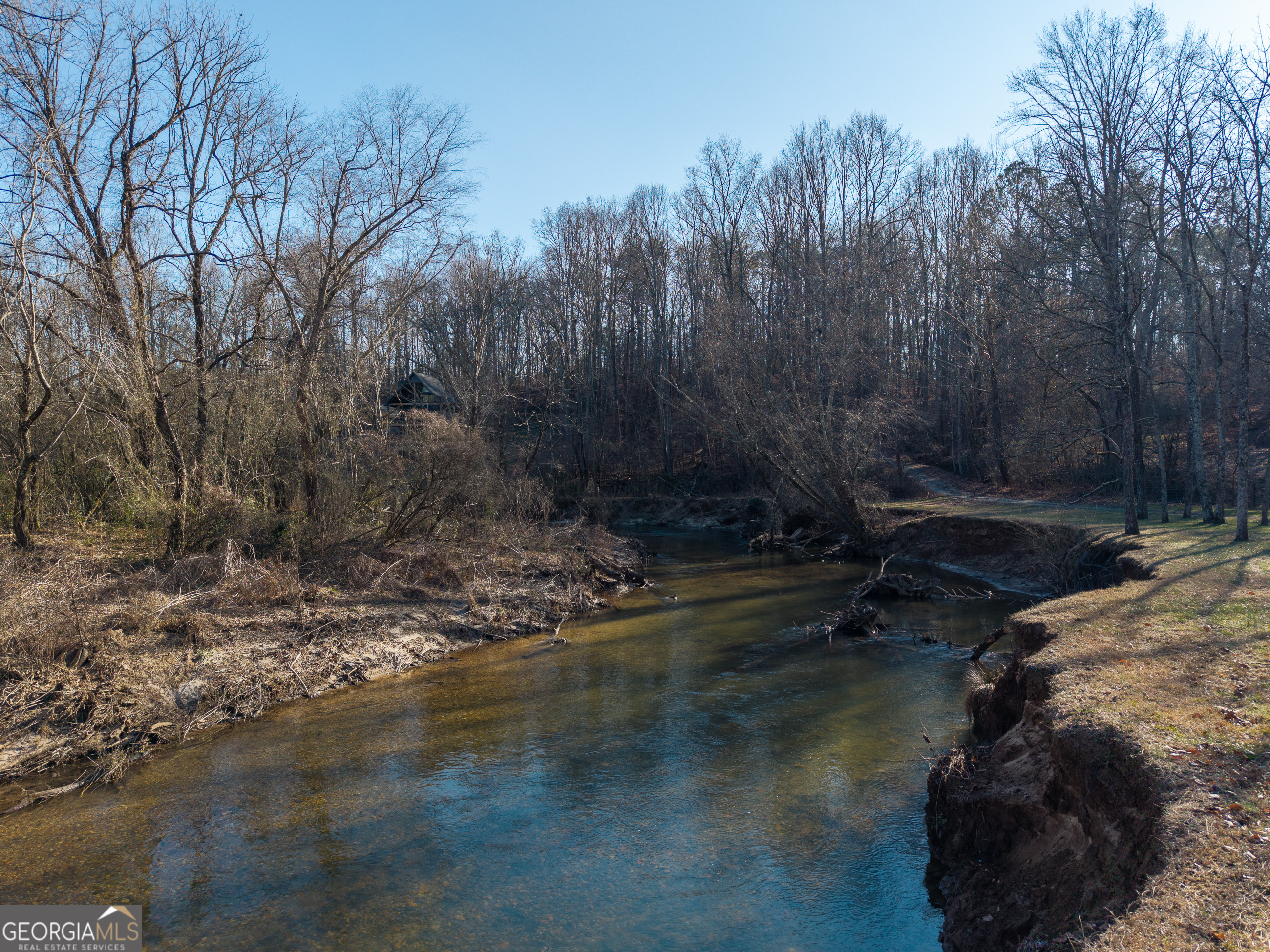 161 Finncannon Drive Ellijay GA 30536