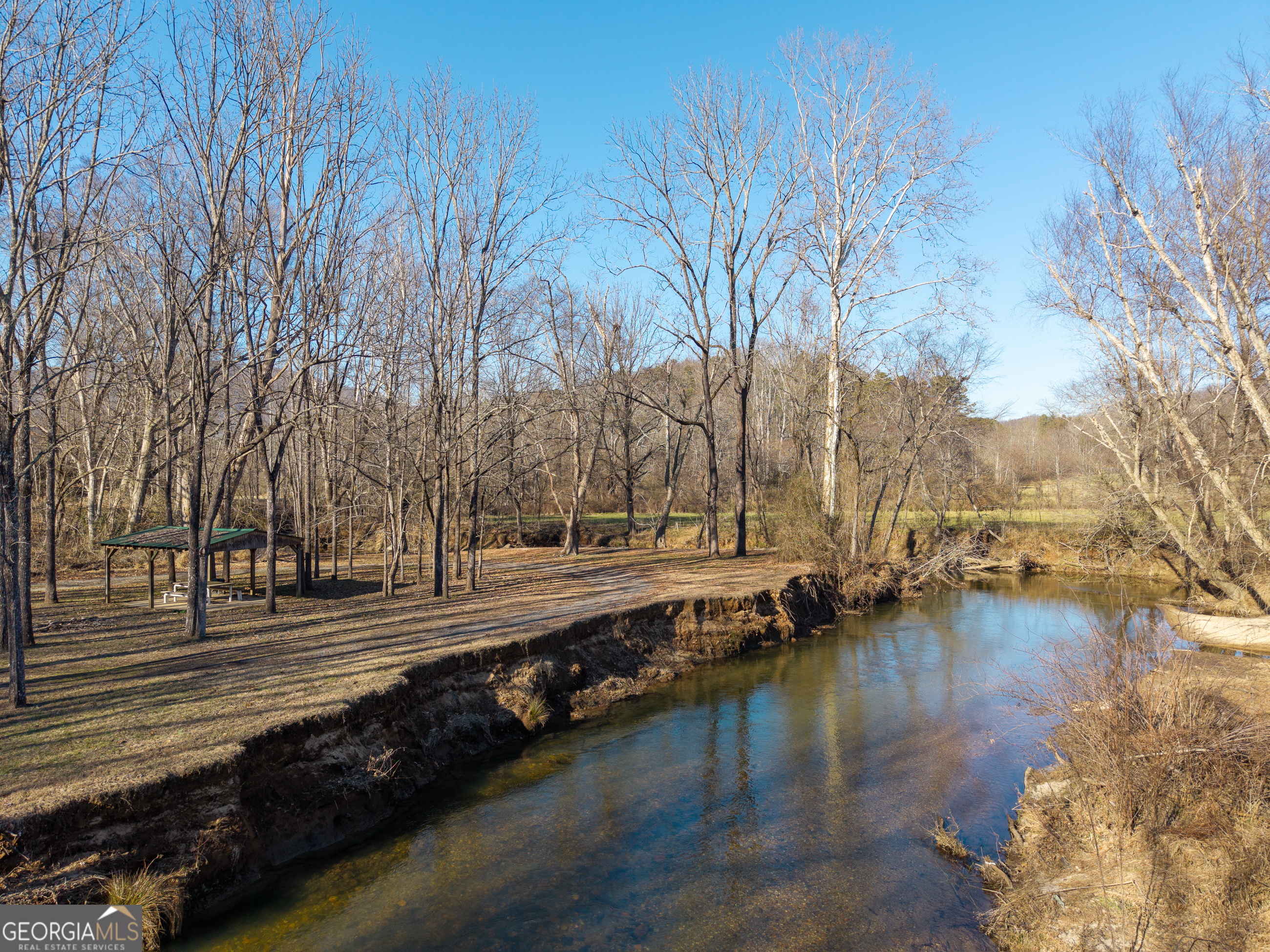 161 Finncannon Drive Ellijay GA 30536