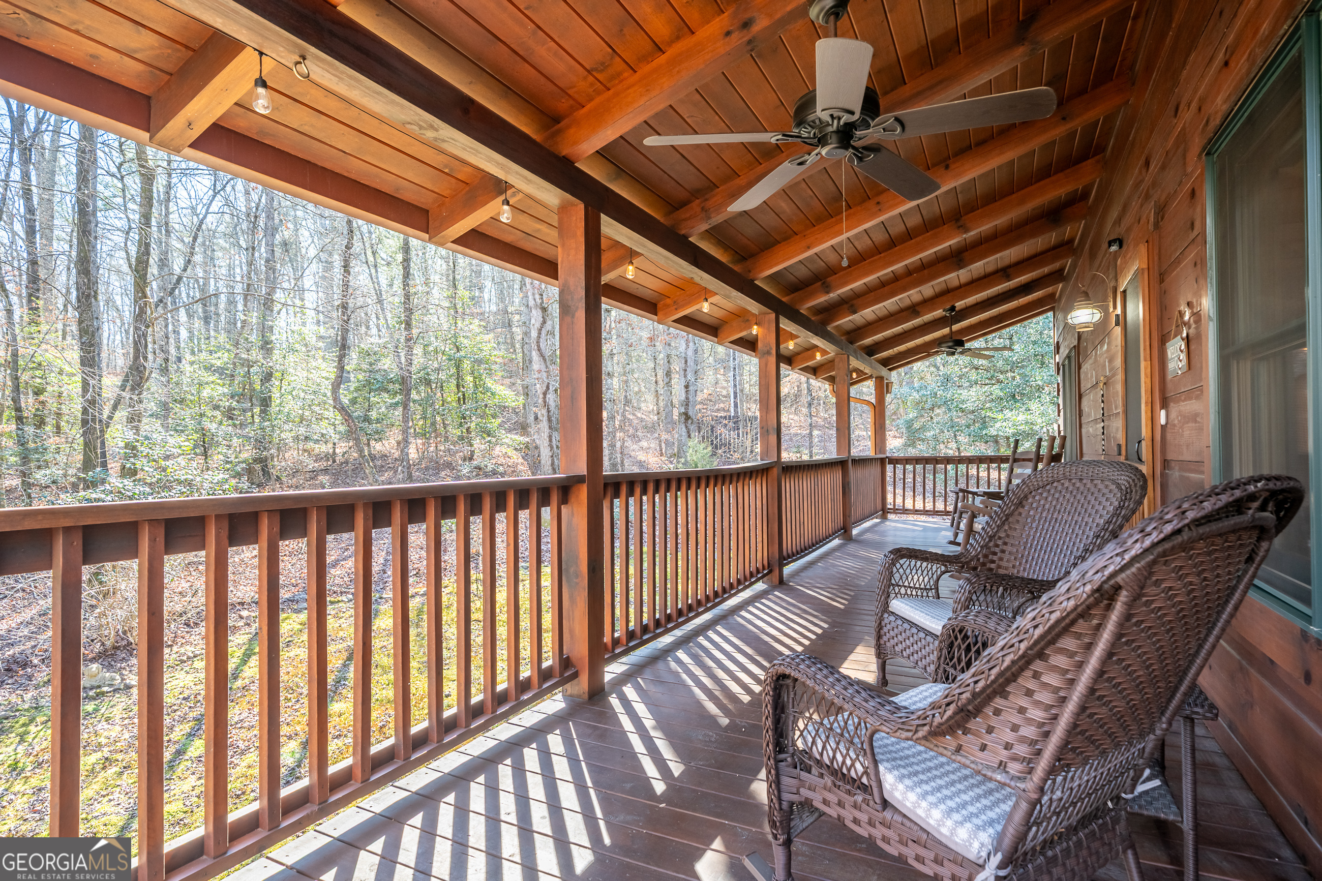 161 Finncannon Drive Ellijay GA 30536