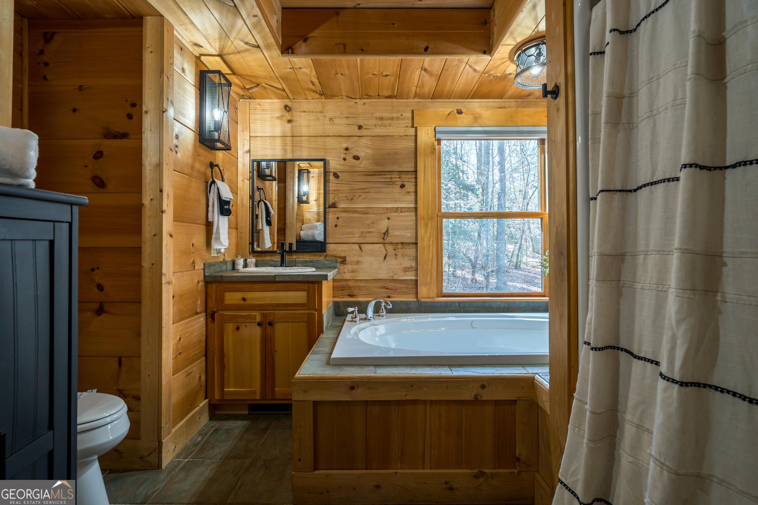 161 Finncannon Drive Ellijay GA 30536