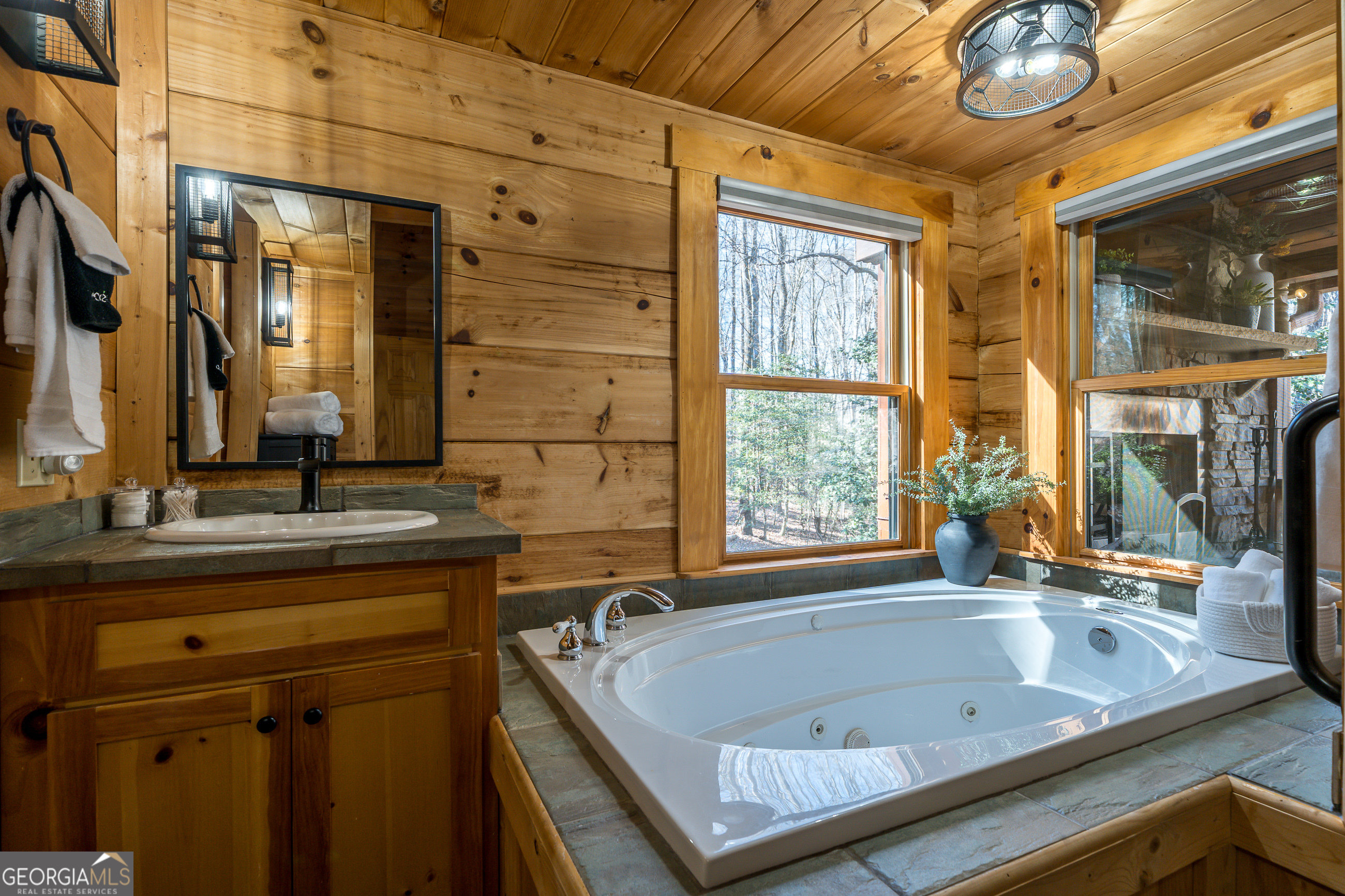 161 Finncannon Drive Ellijay GA 30536