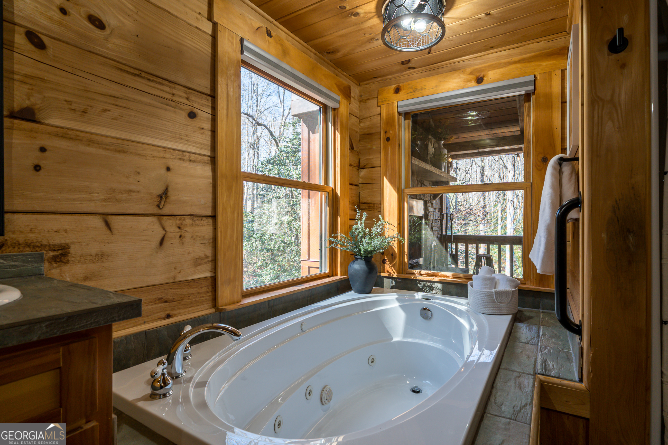 161 Finncannon Drive Ellijay GA 30536