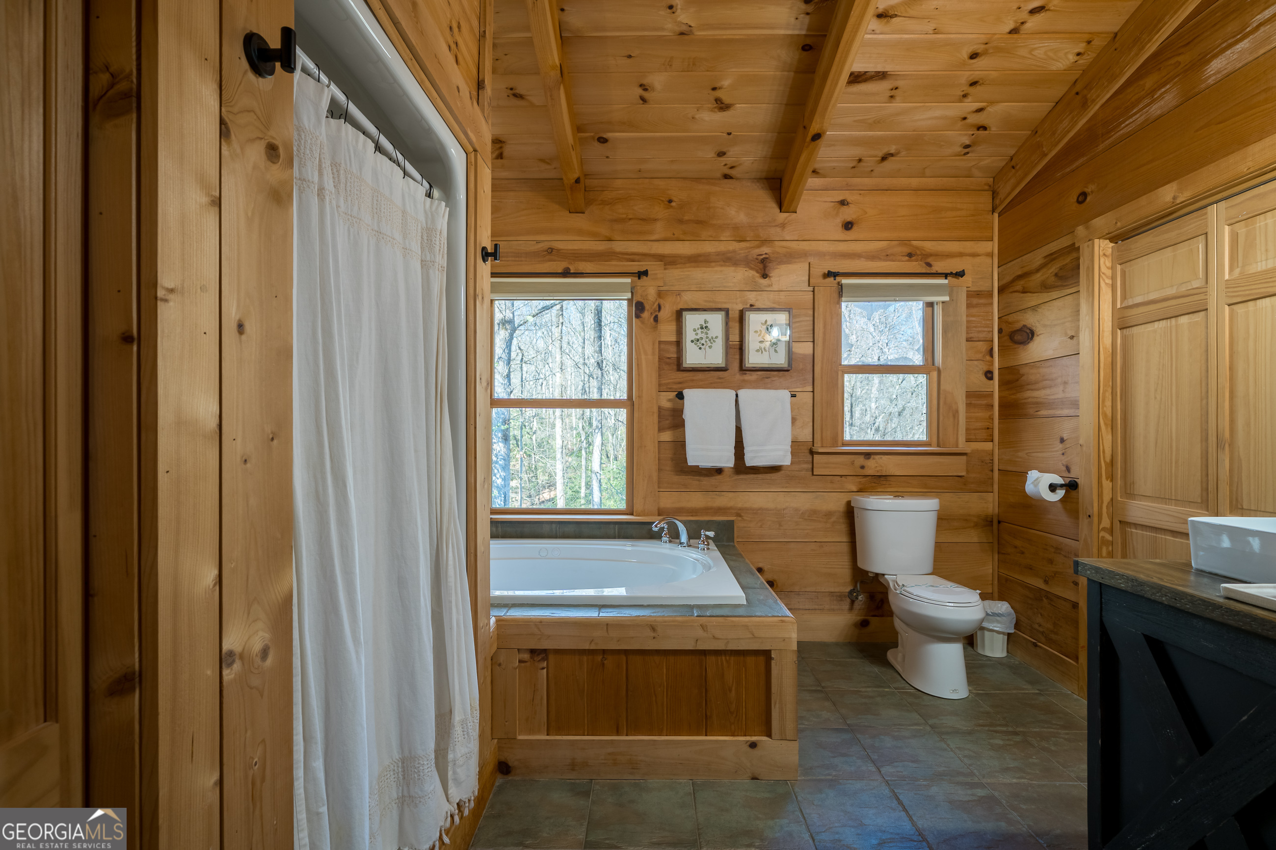 161 Finncannon Drive Ellijay GA 30536