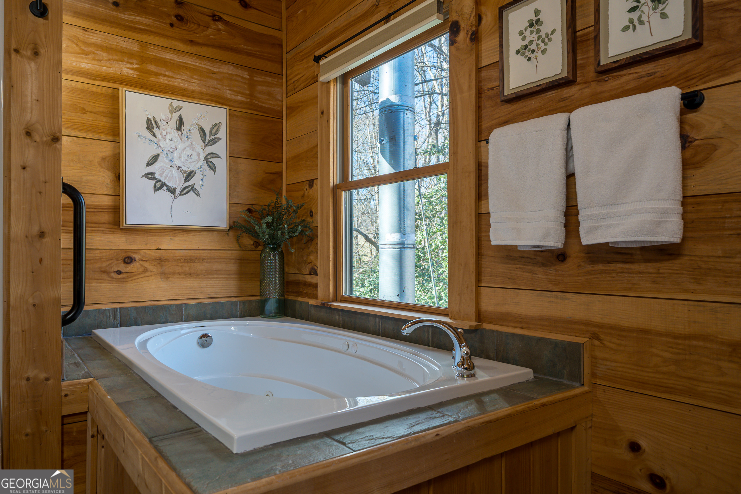 161 Finncannon Drive Ellijay GA 30536